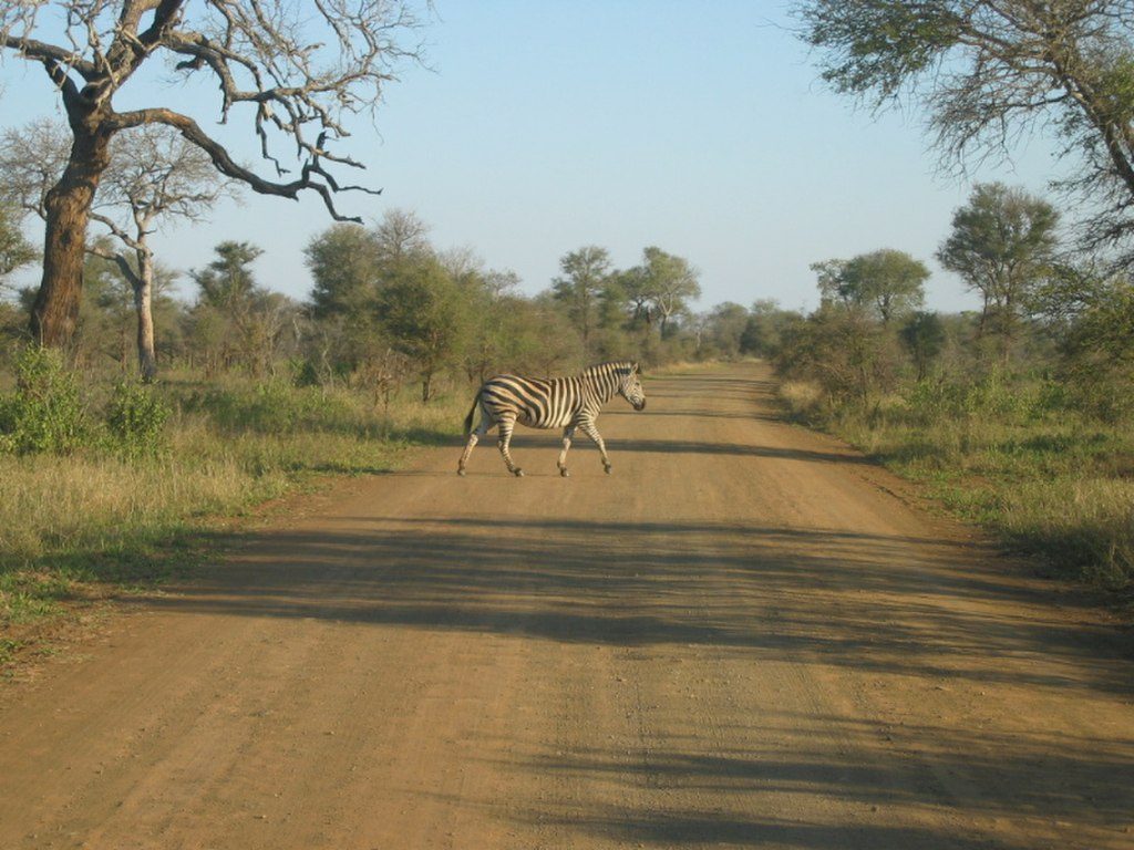 Nasionale Krugerwildtuin, Kruger National Park