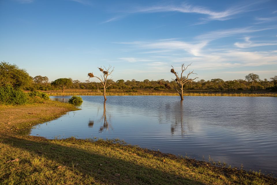 Mazithi Dam Viewpoint, Kruger National Park