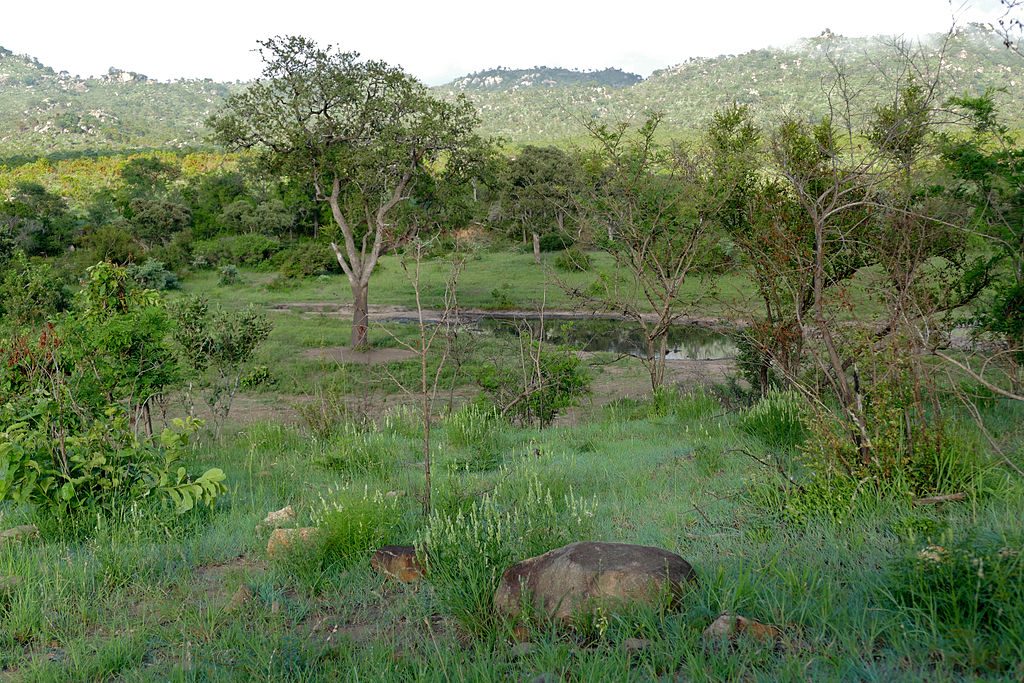 Matjulu Waterhole Viewpoint, Kruger National Park