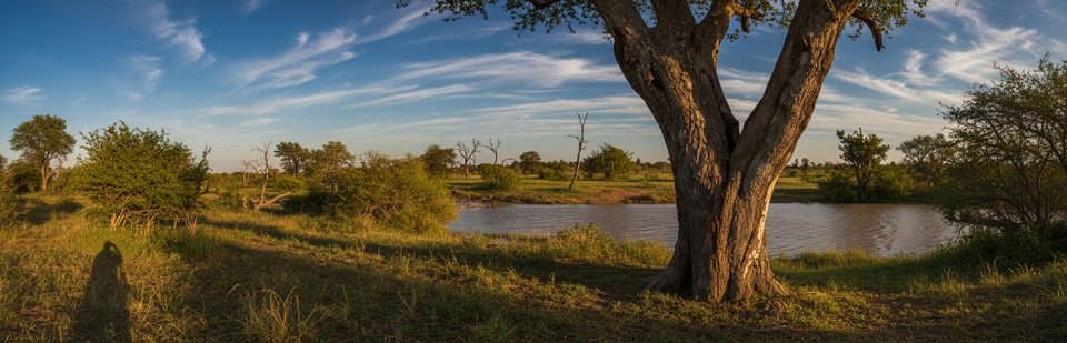 Duke Waterhole Viewpoint, Kruger National Park