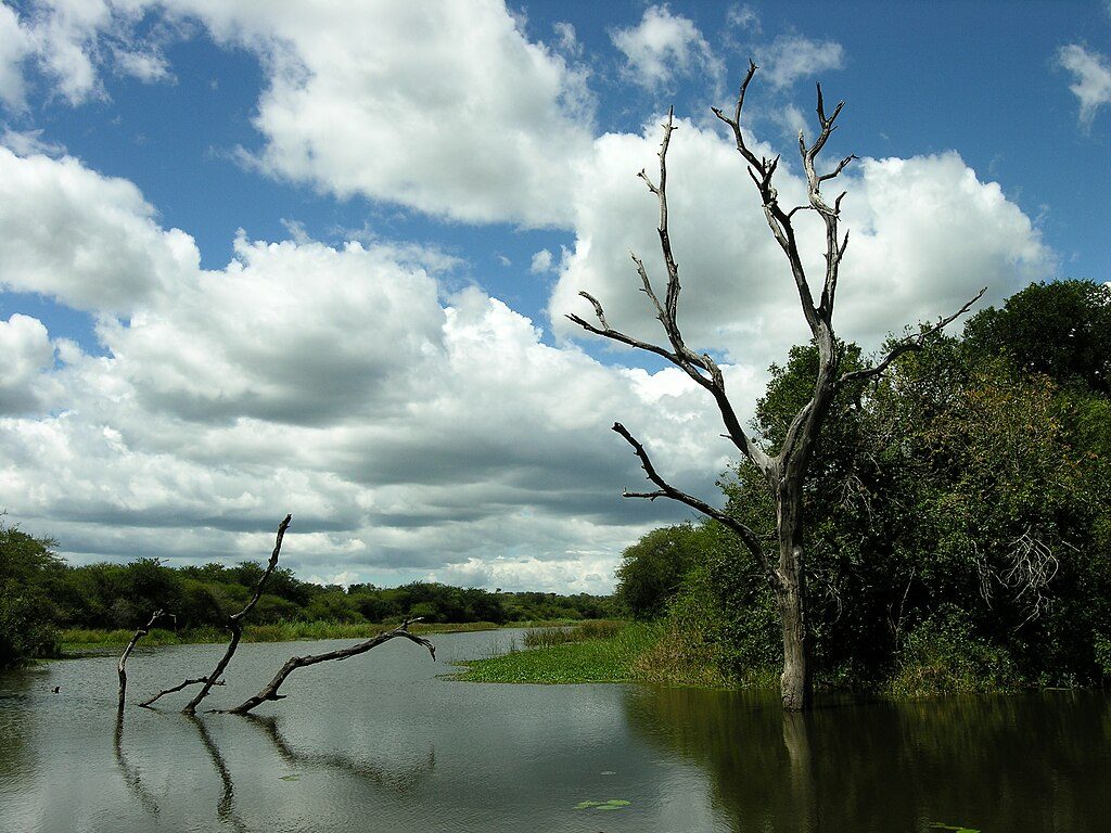 Lake Panic Bird Hide, Kruger National Park