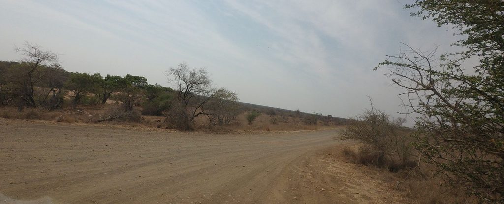 Car Parking, Kruger National Park