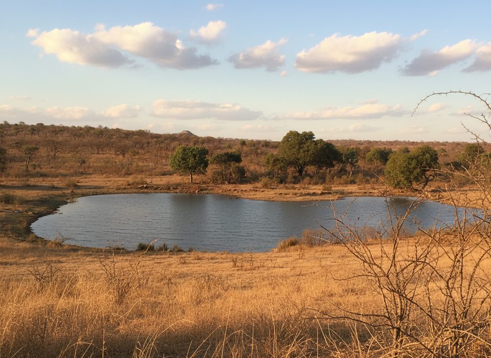 Mestel Dam, Kruger National Park