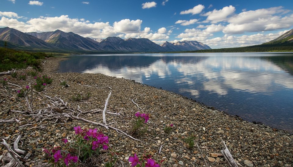 Lower Twin Lake, Lake Clark National Park