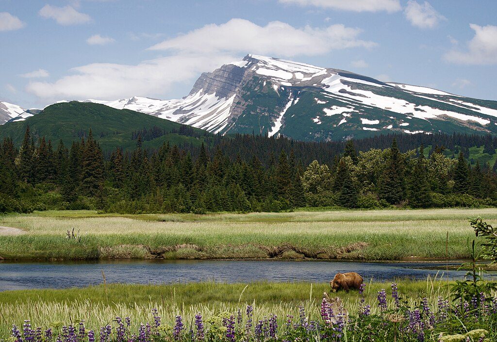Silver Salmon Creek, Lake Clark National Park