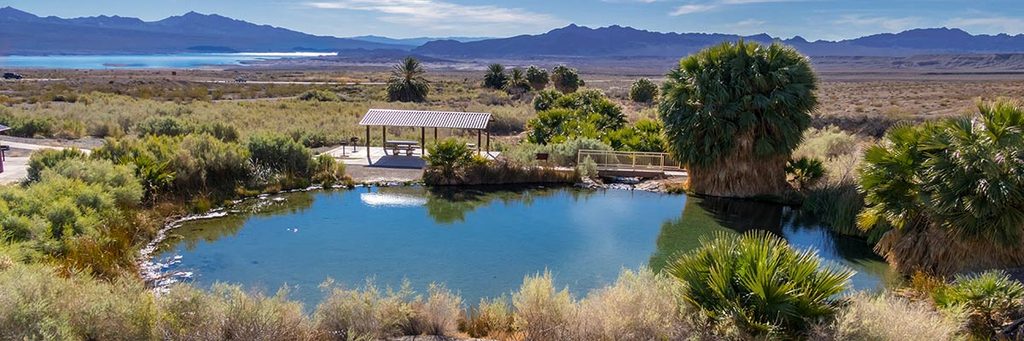 Rogers Spring, Lake Mead National Recreation Area
