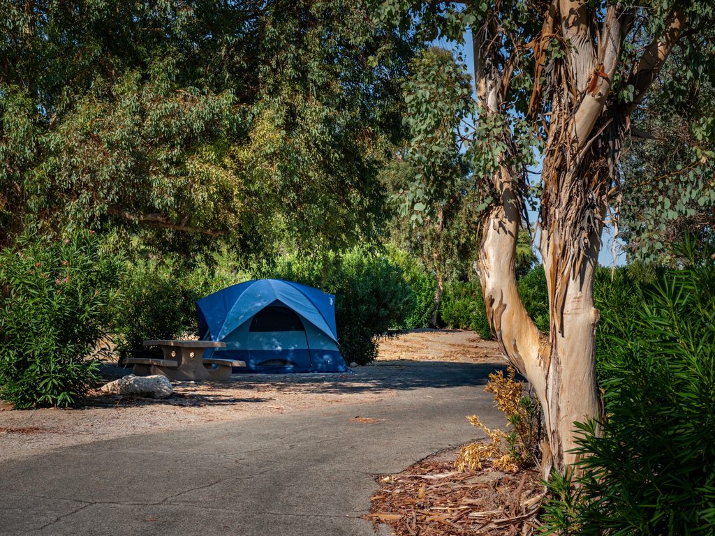 Temple Bar Campground, Lake Mead National Recreation Area