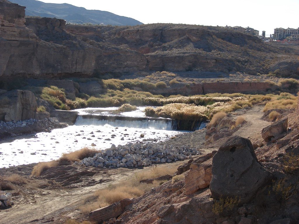 Wetlands, Lake Mead National Recreation Area