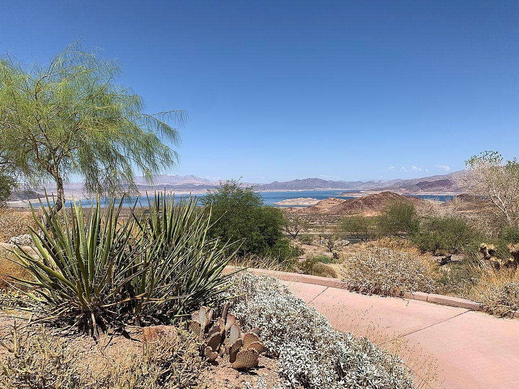 Alan Bible Botanical Garden, Lake Mead National Recreation Area
