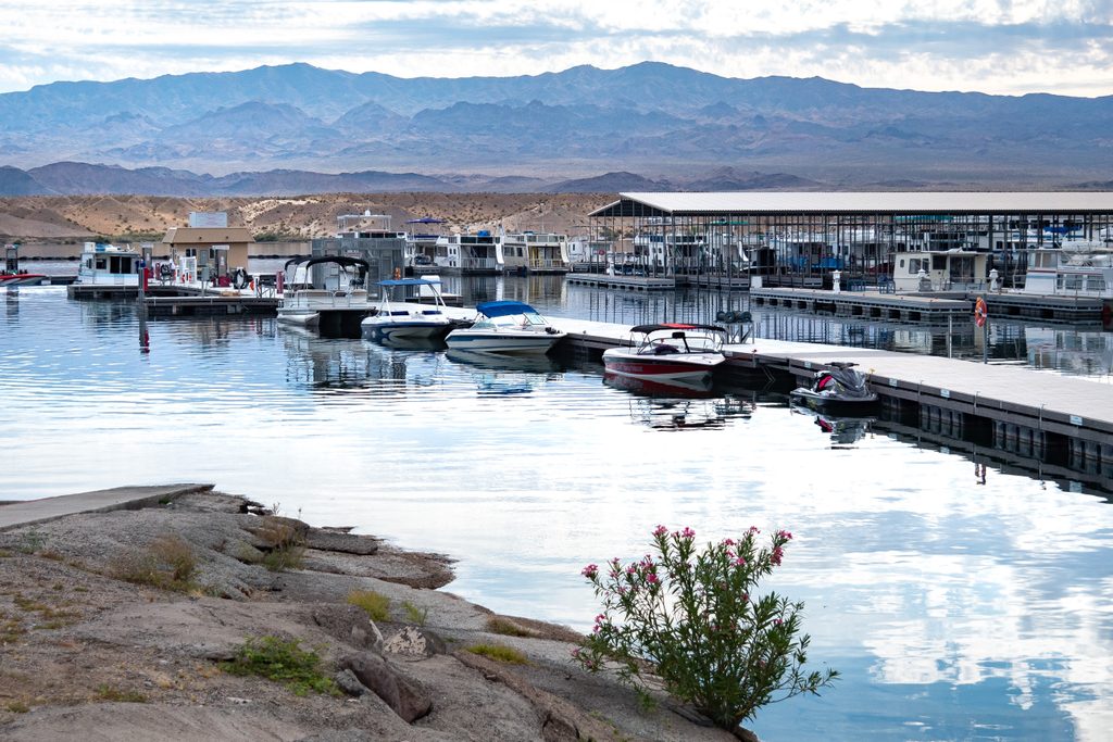 Cottonwood Cove Resort & Marina, Lake Mead National Recreation Area