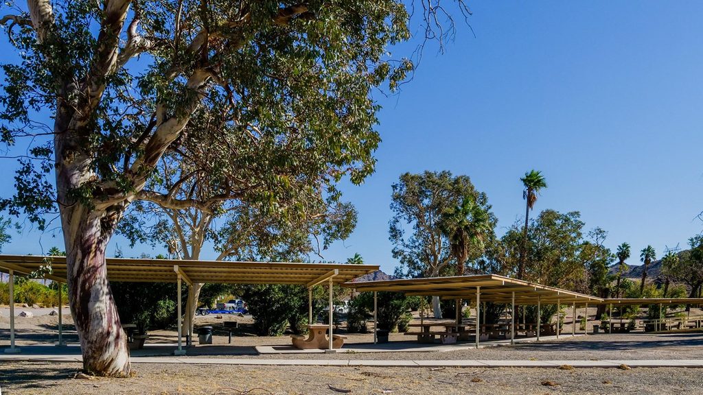 Katherine Landing Picnic Area, Lake Mead National Recreation Area