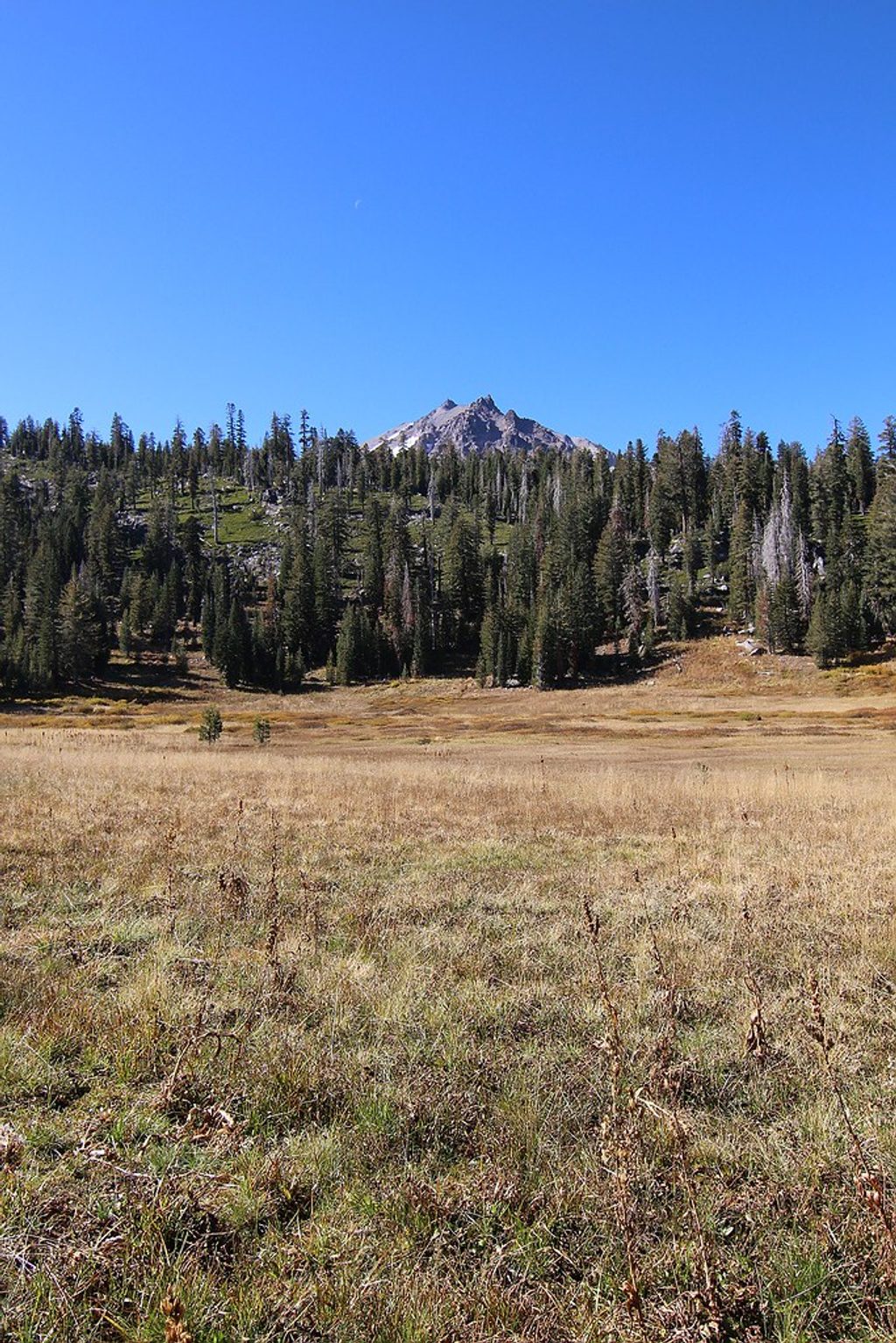 Paradise Meadows, Lassen Volcanic National Park