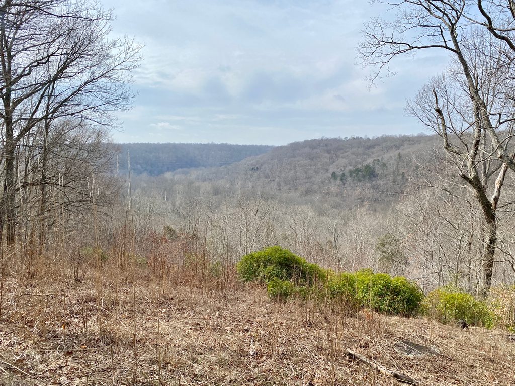 Sunset Point, Mammoth Cave National Park