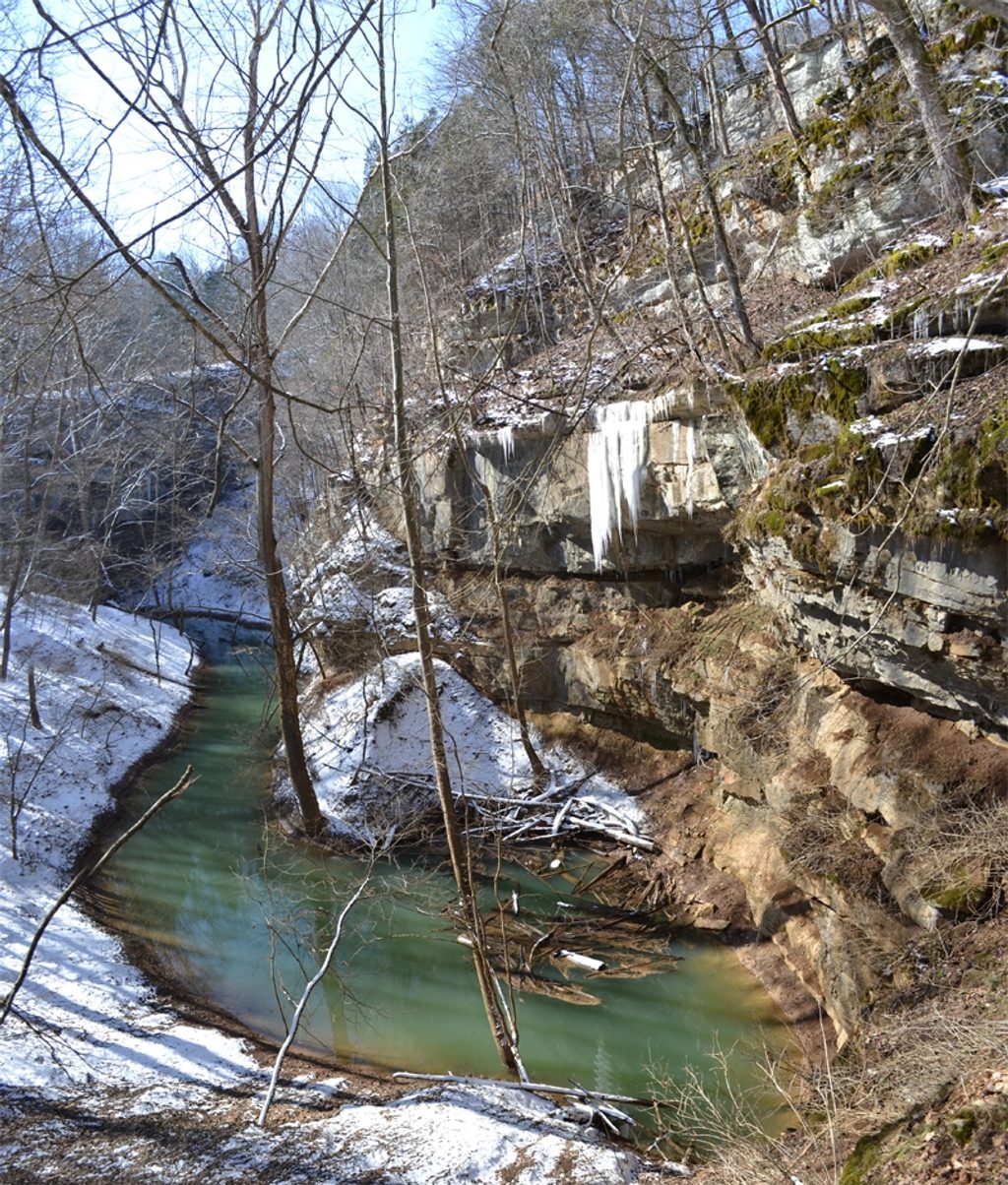 Cedar Sink, Mammoth Cave National Park