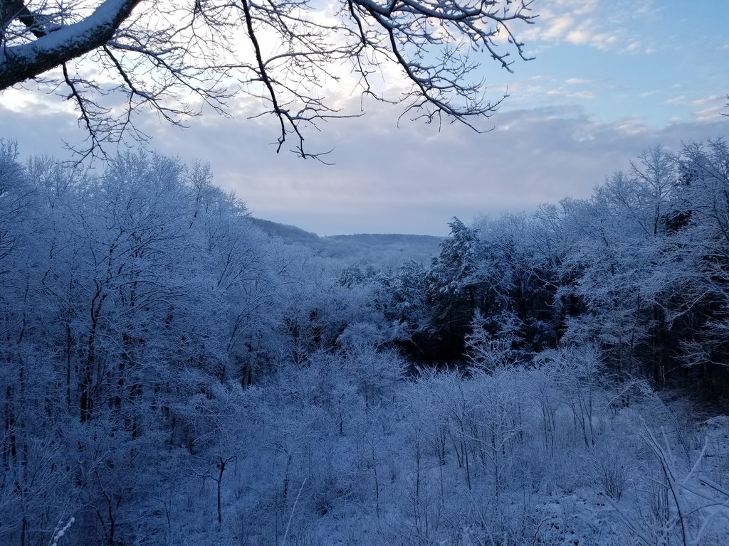 Doyel Valley Overlook, Mammoth Cave National Park