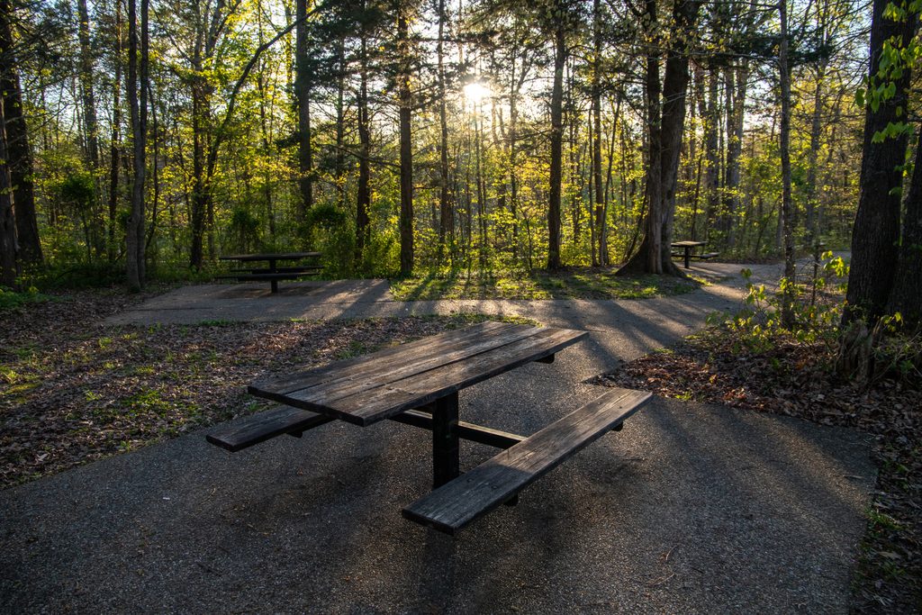 Mammoth Cave Picnic Area, Mammoth Cave National Park