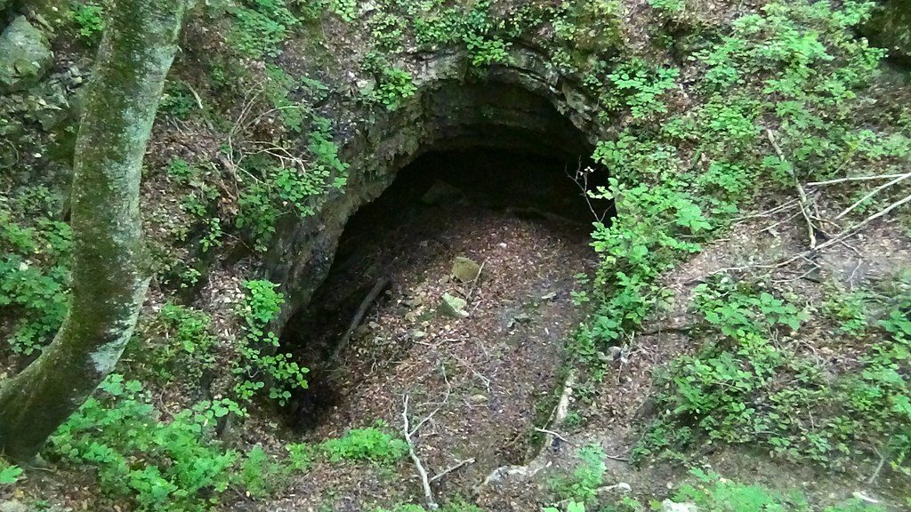 Dixon Cave Overlook, Mammoth Cave National Park