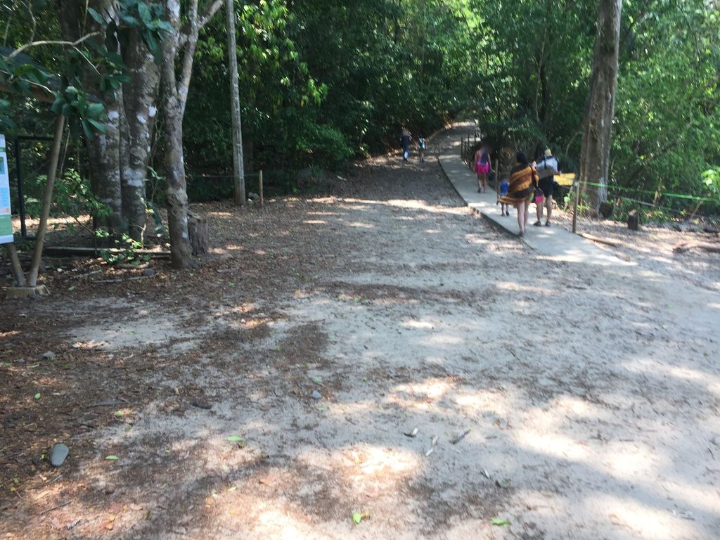 Mirador de Punta Serrucho, Manuel Antonio National Park