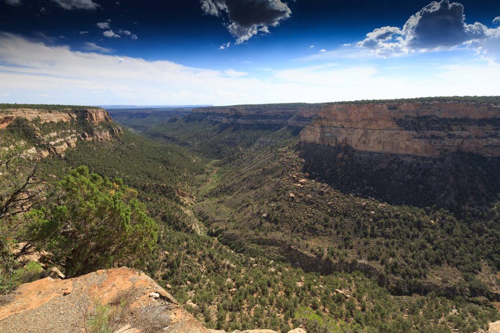 Navajo Canyon View, Mesa Verde National Park