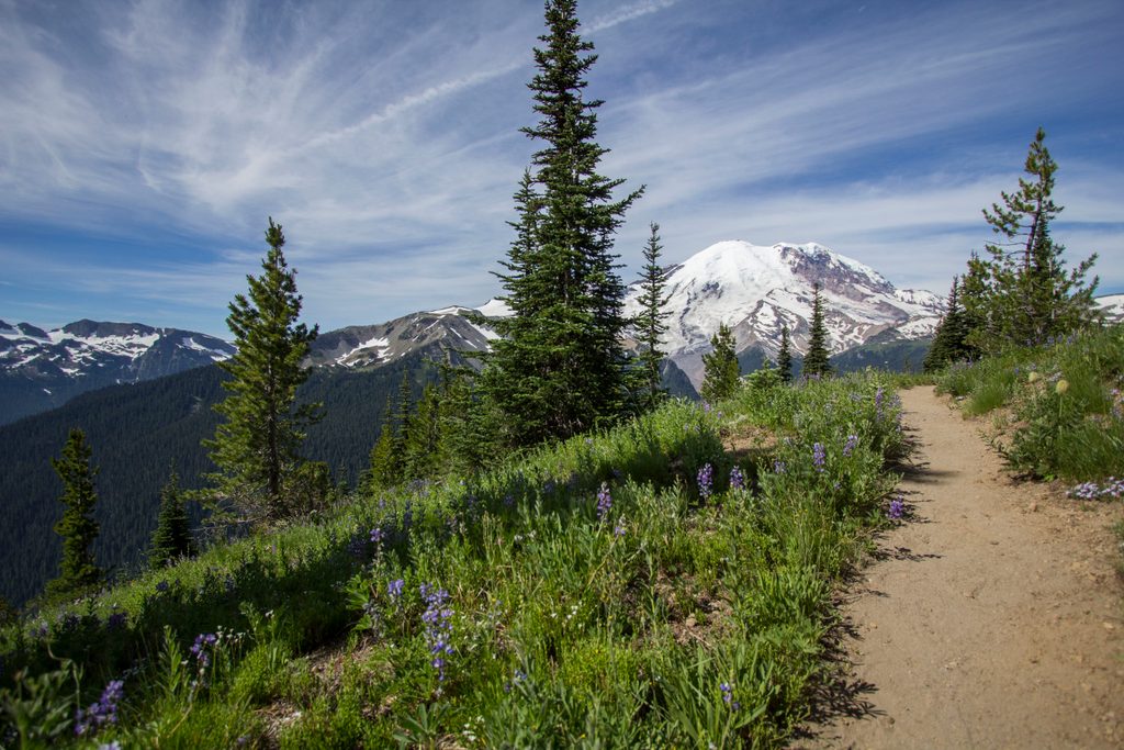 Sunrise, Mount Rainier National Park