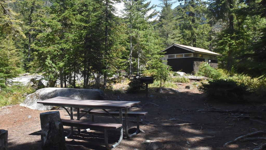Cougar Rock Picnic Area, Mount Rainier National Park