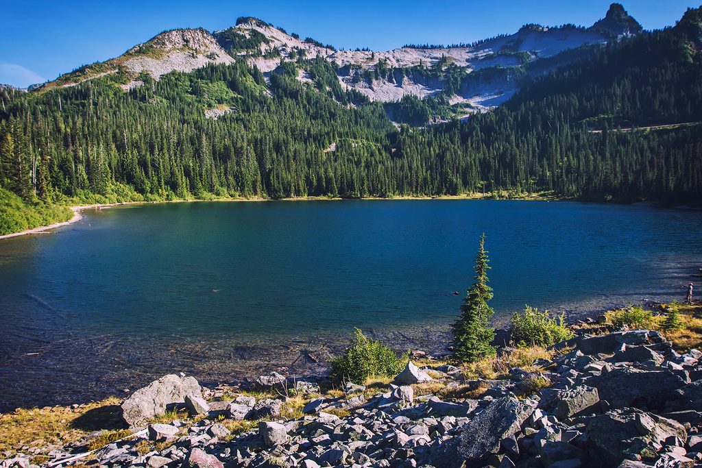Louise Lake, Mount Rainier National Park