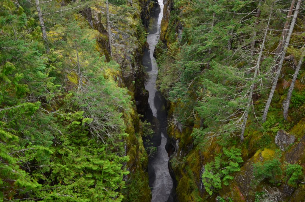 Box Canyon, Mount Rainier National Park
