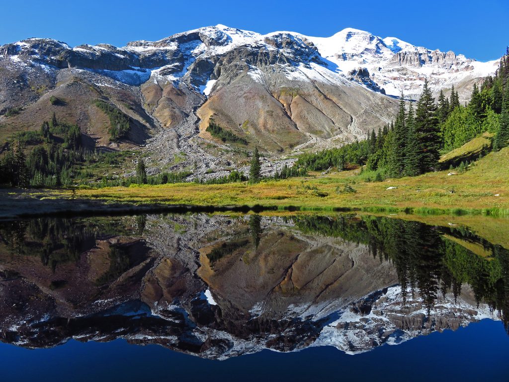 Glacier Basin, Mount Rainier National Park