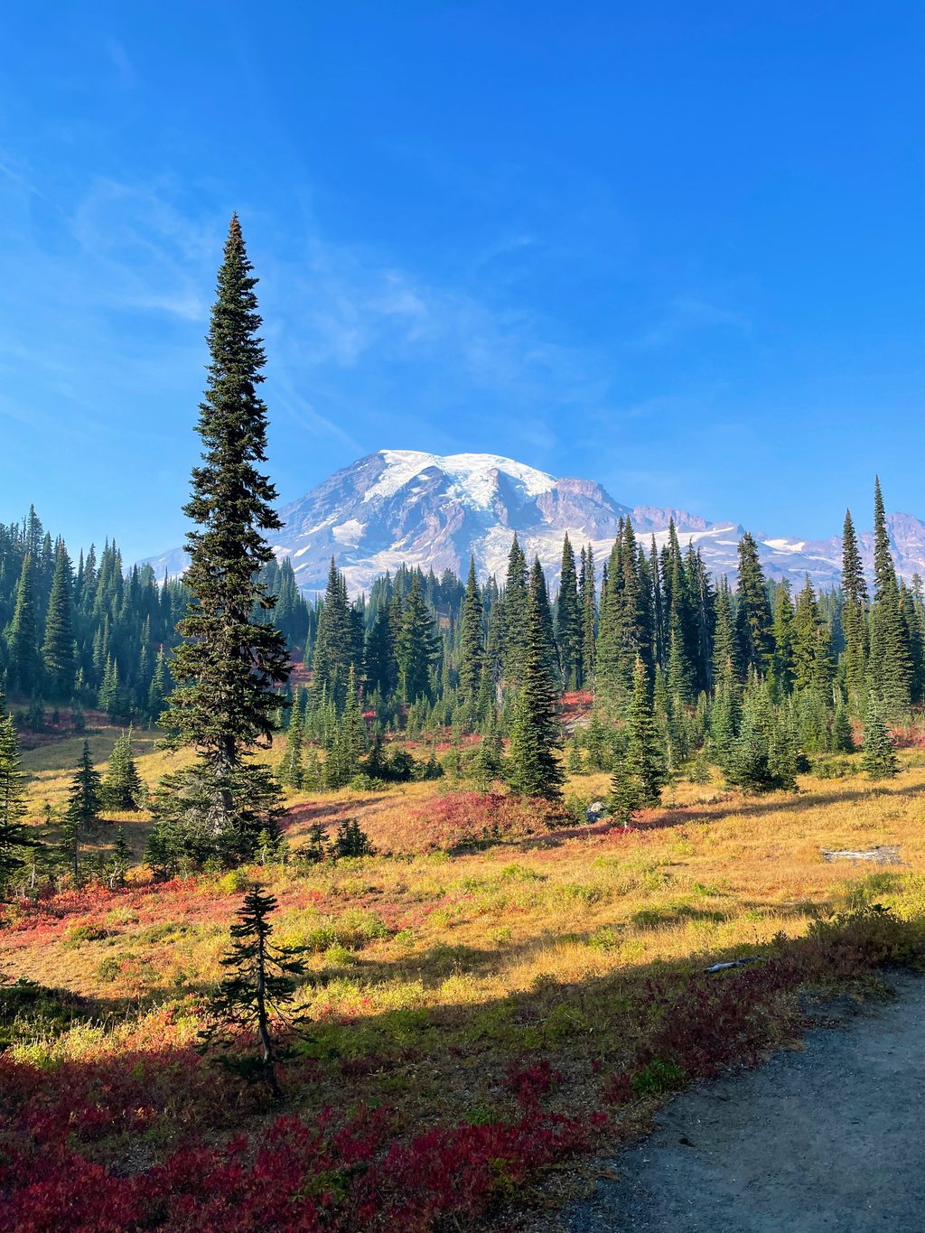 Mazama Ridge, Mount Rainier National Park