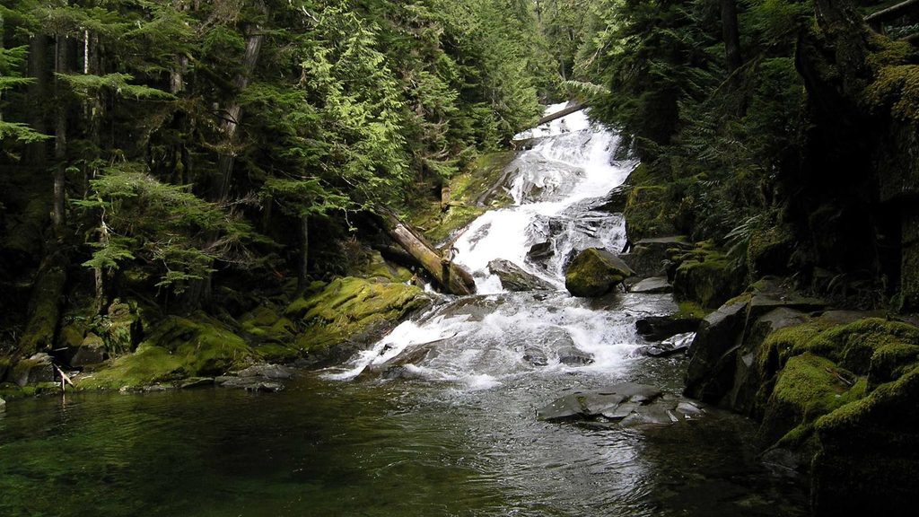 Chenuis Falls, Mount Rainier National Park