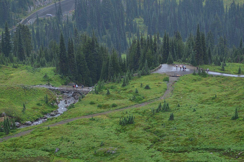 Alta Vista, Mount Rainier National Park