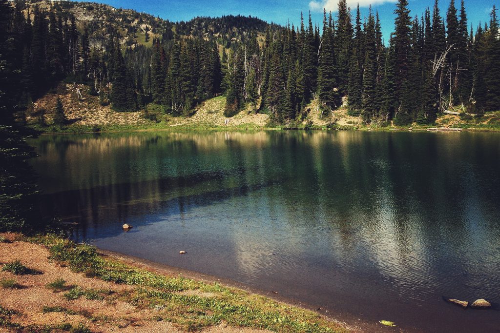 Shadow Lake, Mount Rainier National Park
