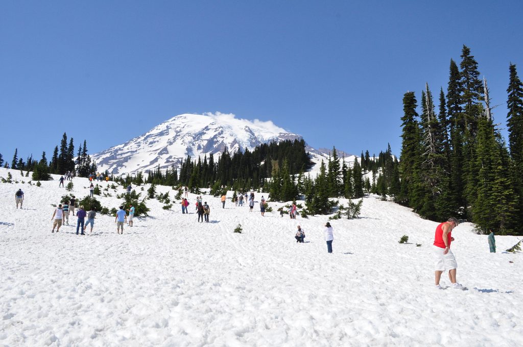 Paradise, Mount Rainier National Park