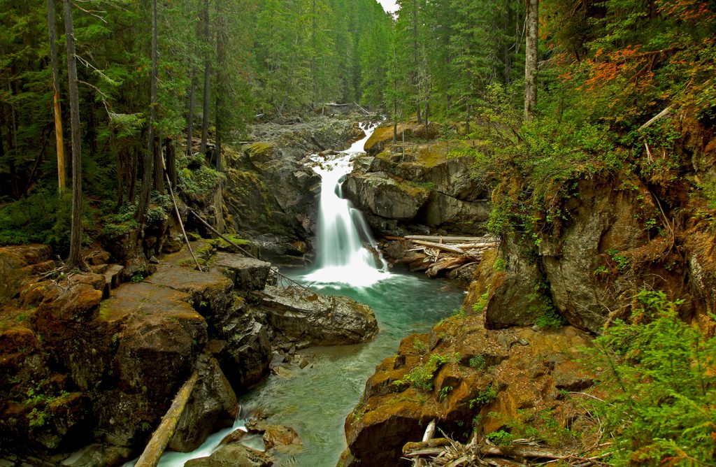 Silver Falls, Mount Rainier National Park