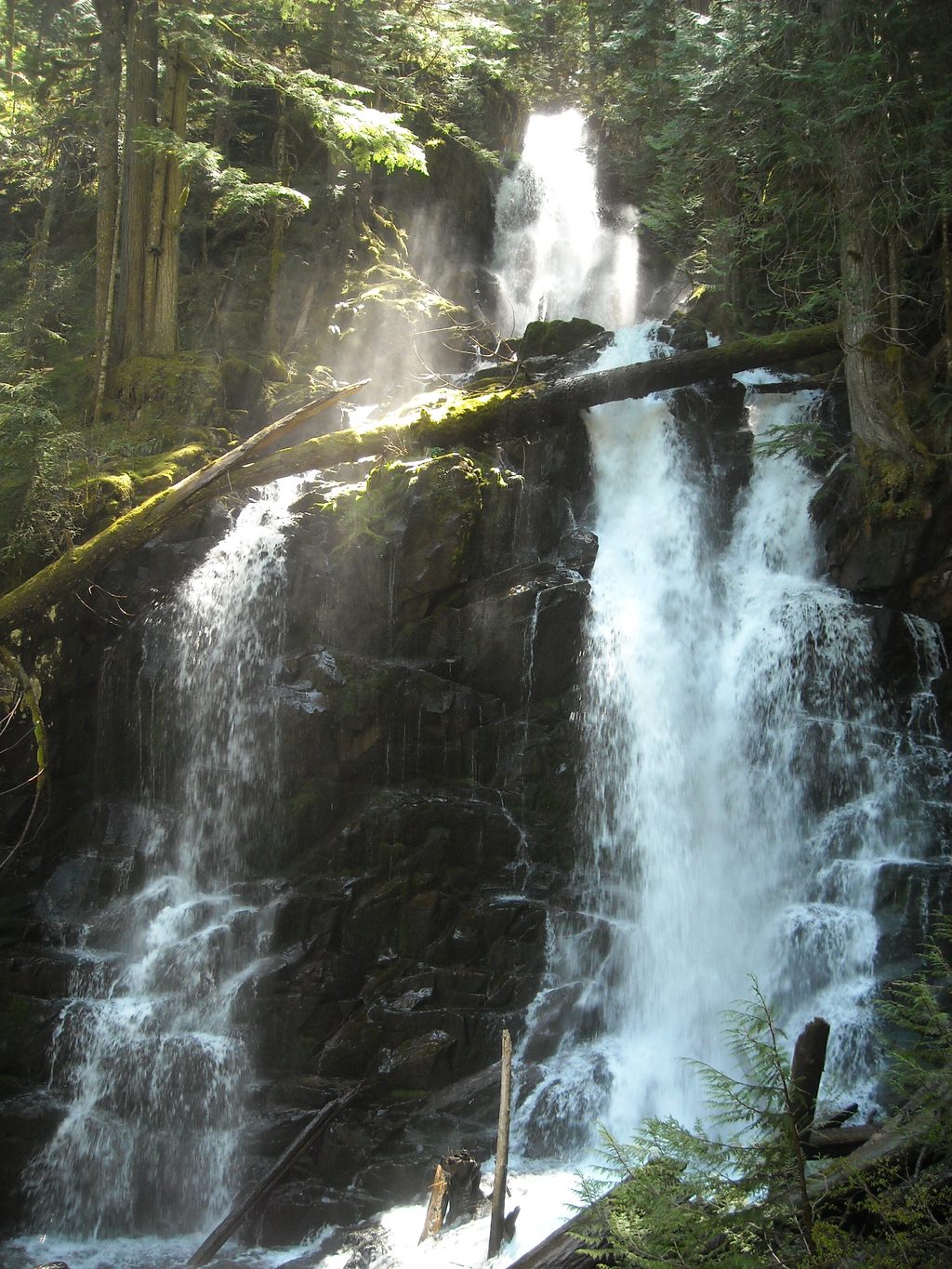 Ranger Falls, Mount Rainier National Park