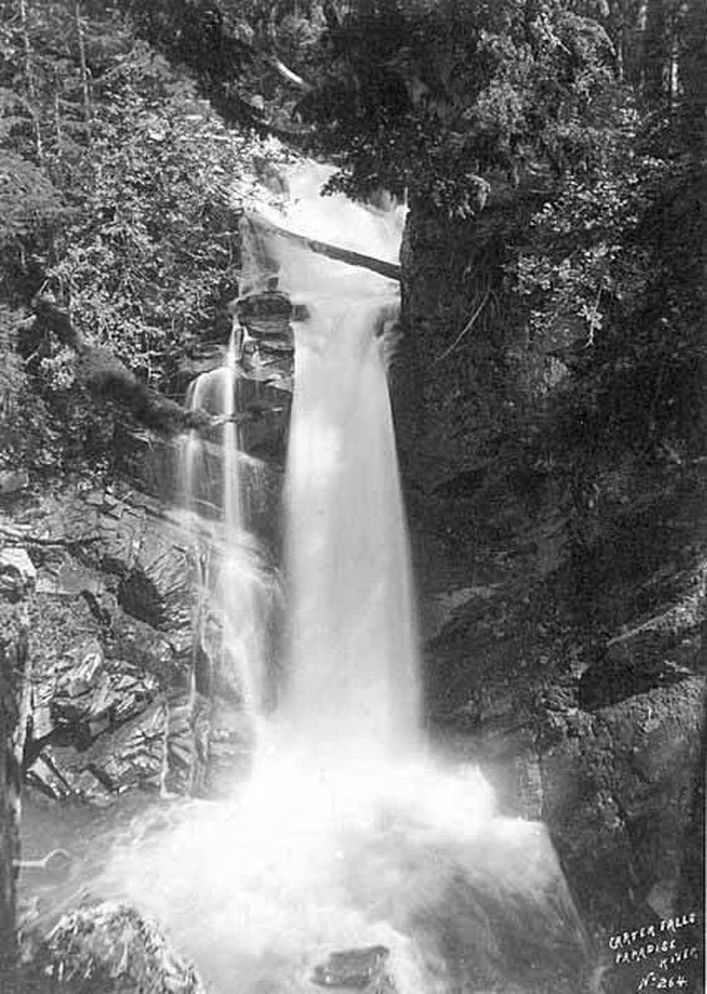 Carter Falls, Mount Rainier National Park