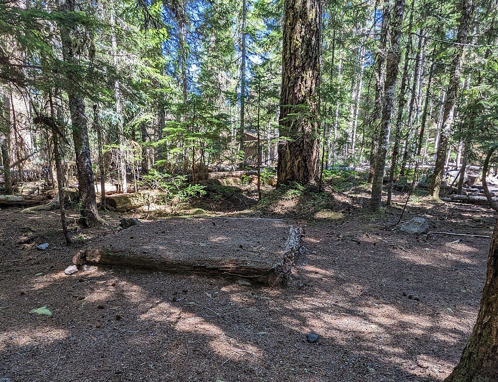 Cougar Rock Campground, Mount Rainier National Park