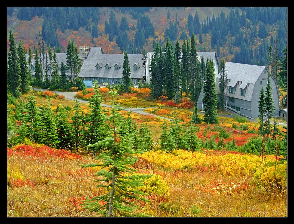 Paradise Inn, Mount Rainier National Park