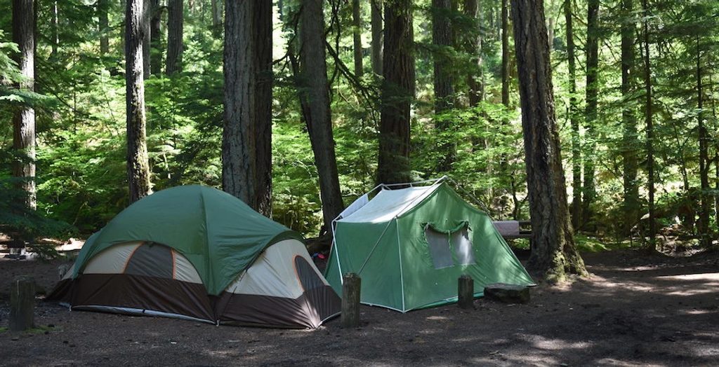 Ohanapecosh Campground, Mount Rainier National Park