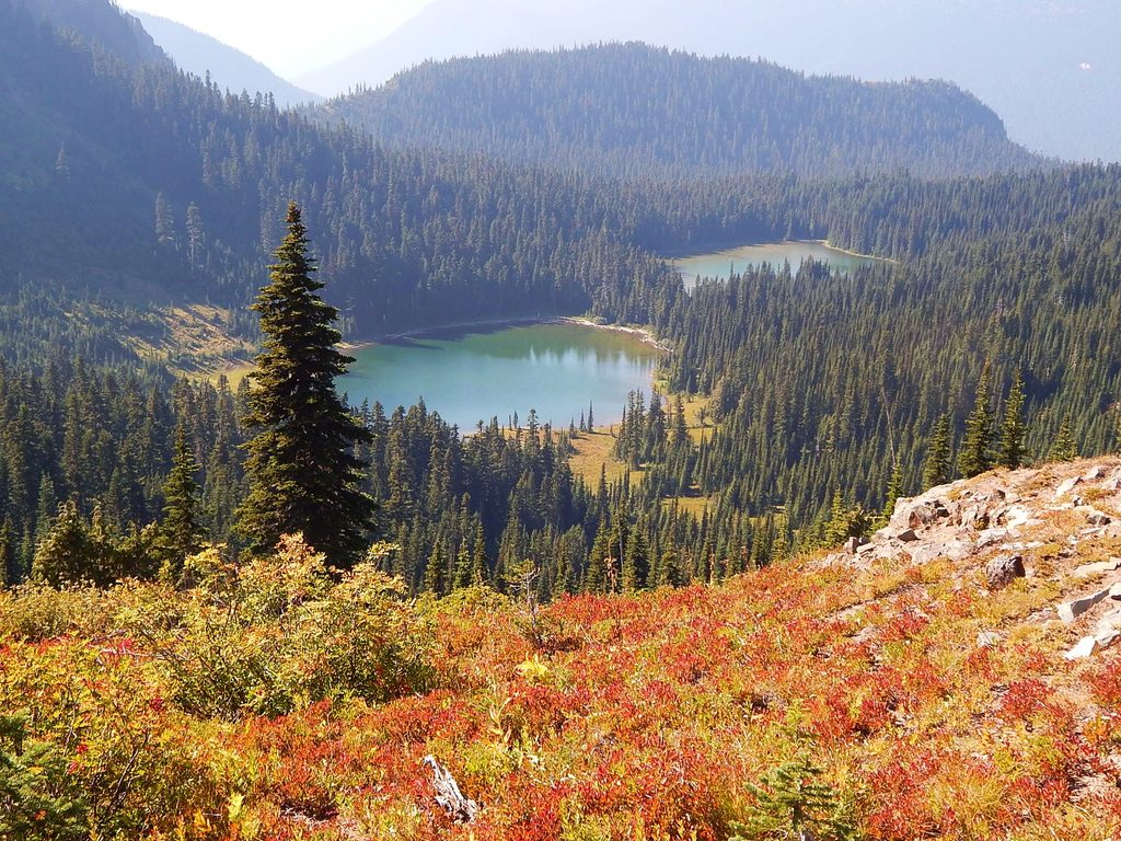 Deadwood Lakes, Mount Rainier National Park