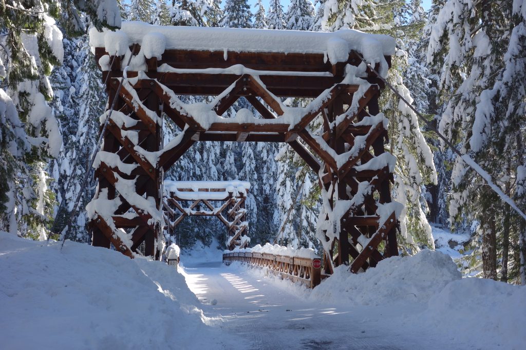 Longmire Suspension Bridge, Mount Rainier National Park