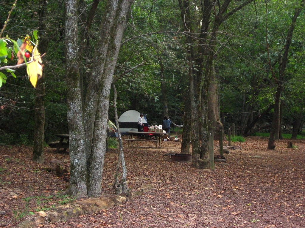 Glade Creek Campground, New River Gorge National Park