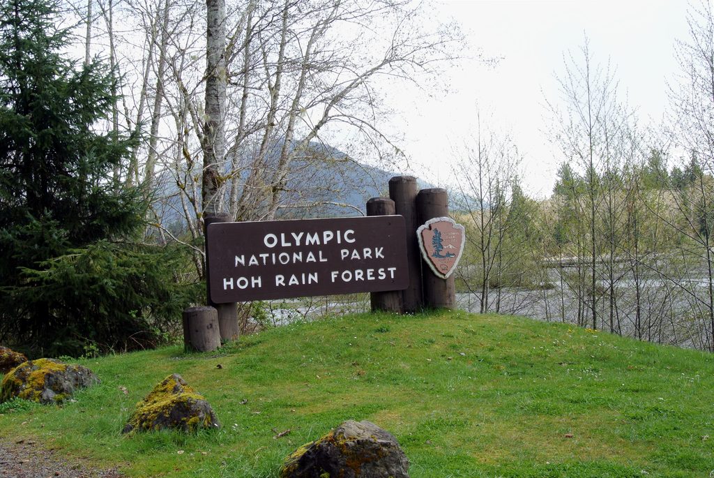 Hoh Rain Forest Entrance Sign, Olympic National Park