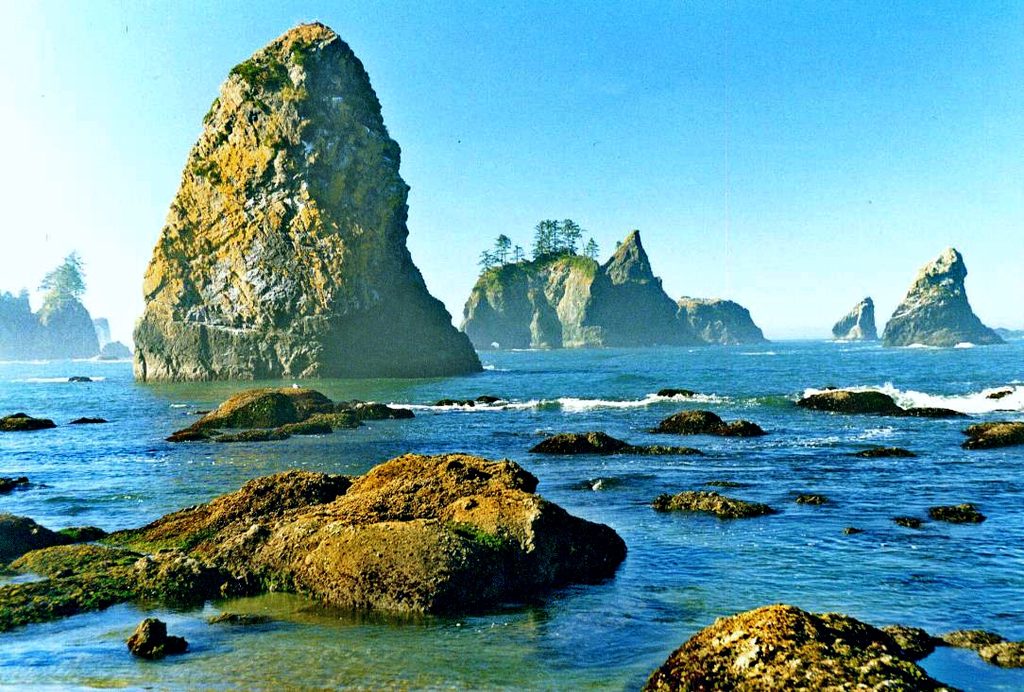 Point of Arches, Olympic National Park
