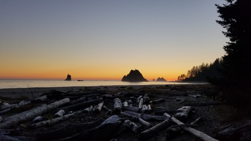 Strawberry Point, Olympic National Park