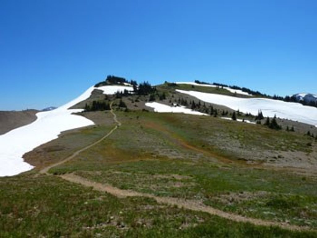 Obstruction Point, Olympic National Park