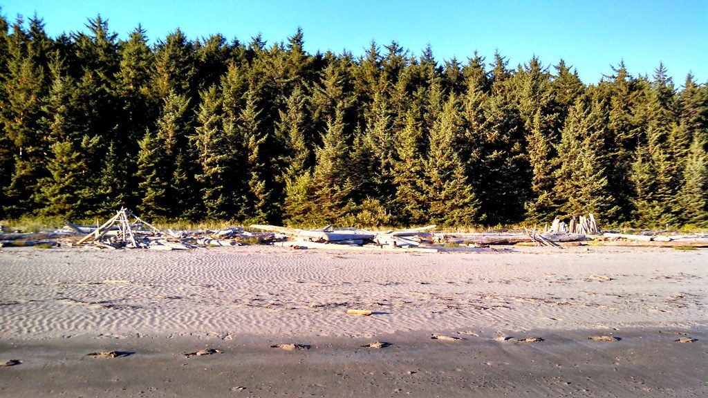 Sand Point, Olympic National Park