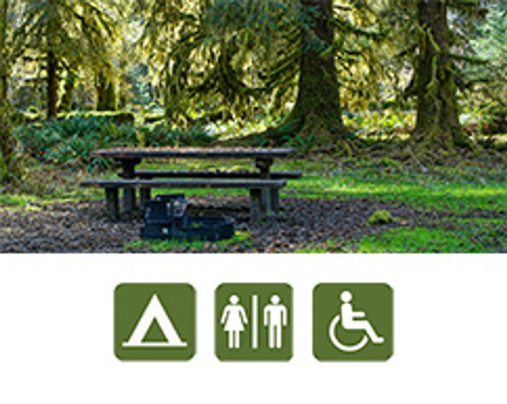 North Fork Campground, Olympic National Park