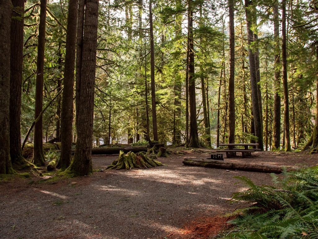 Staircase Campground, Olympic National Park