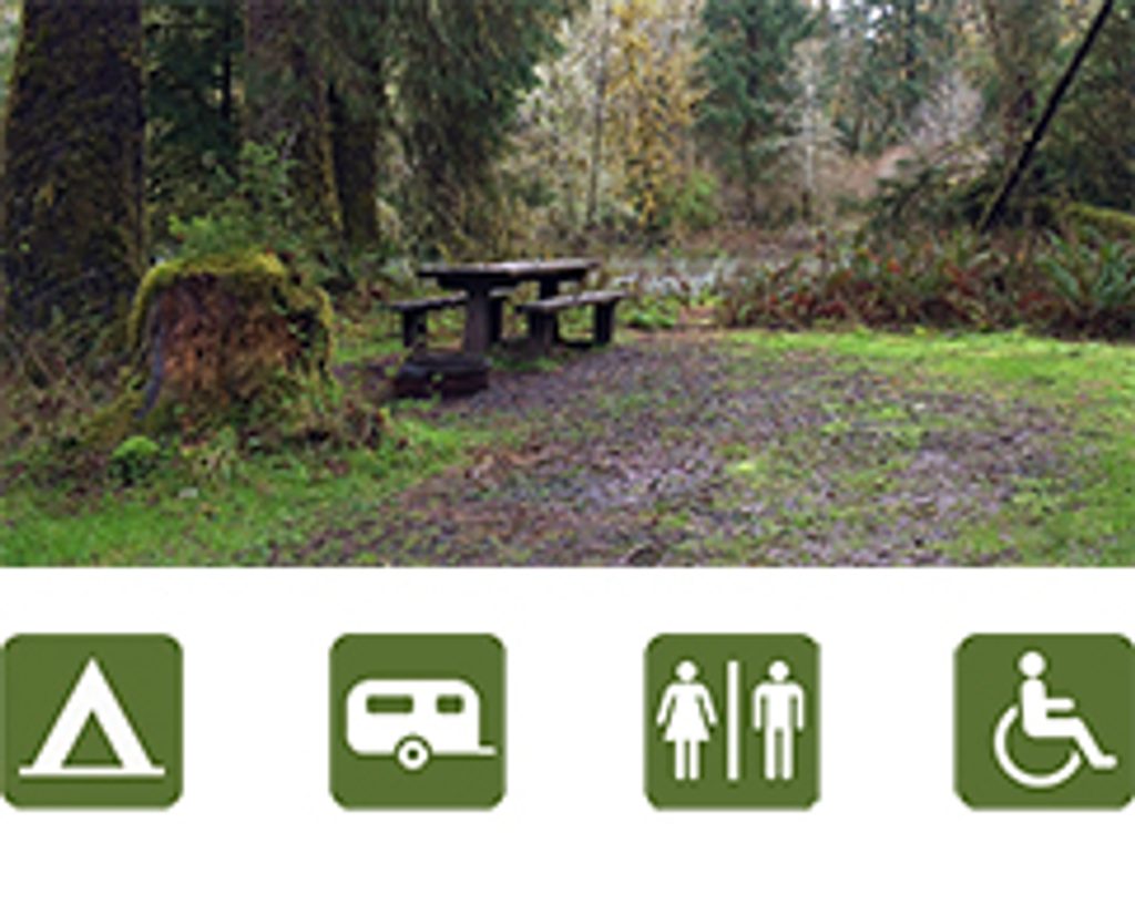 Ozette Campground, Olympic National Park